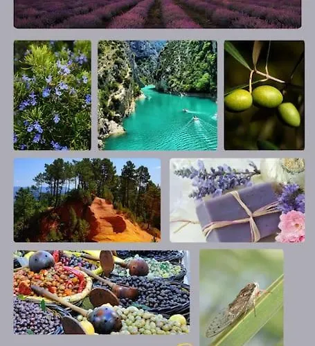 Le Belle-vue *climatise *